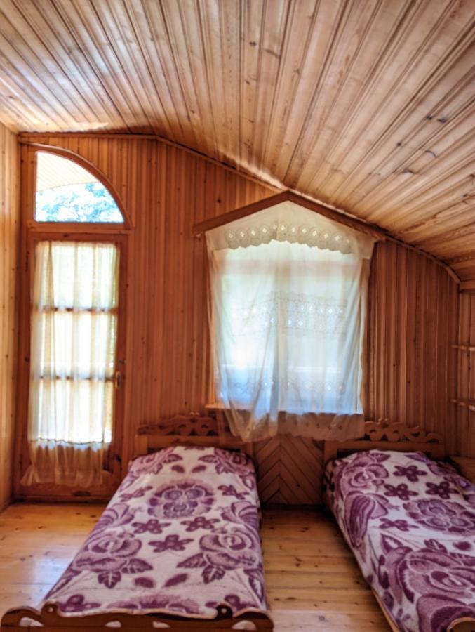Hotel Dalko Borjomi Esterno foto