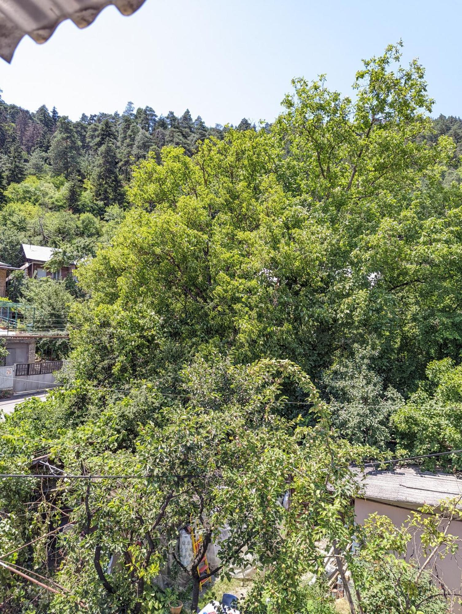 Hotel Dalko Borjomi Camera foto