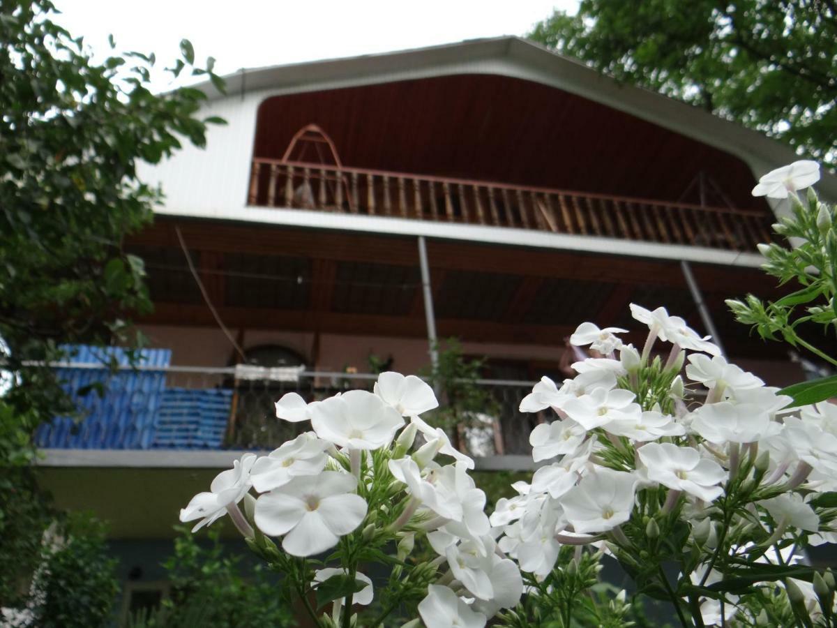 Hotel Dalko Borjomi Esterno foto