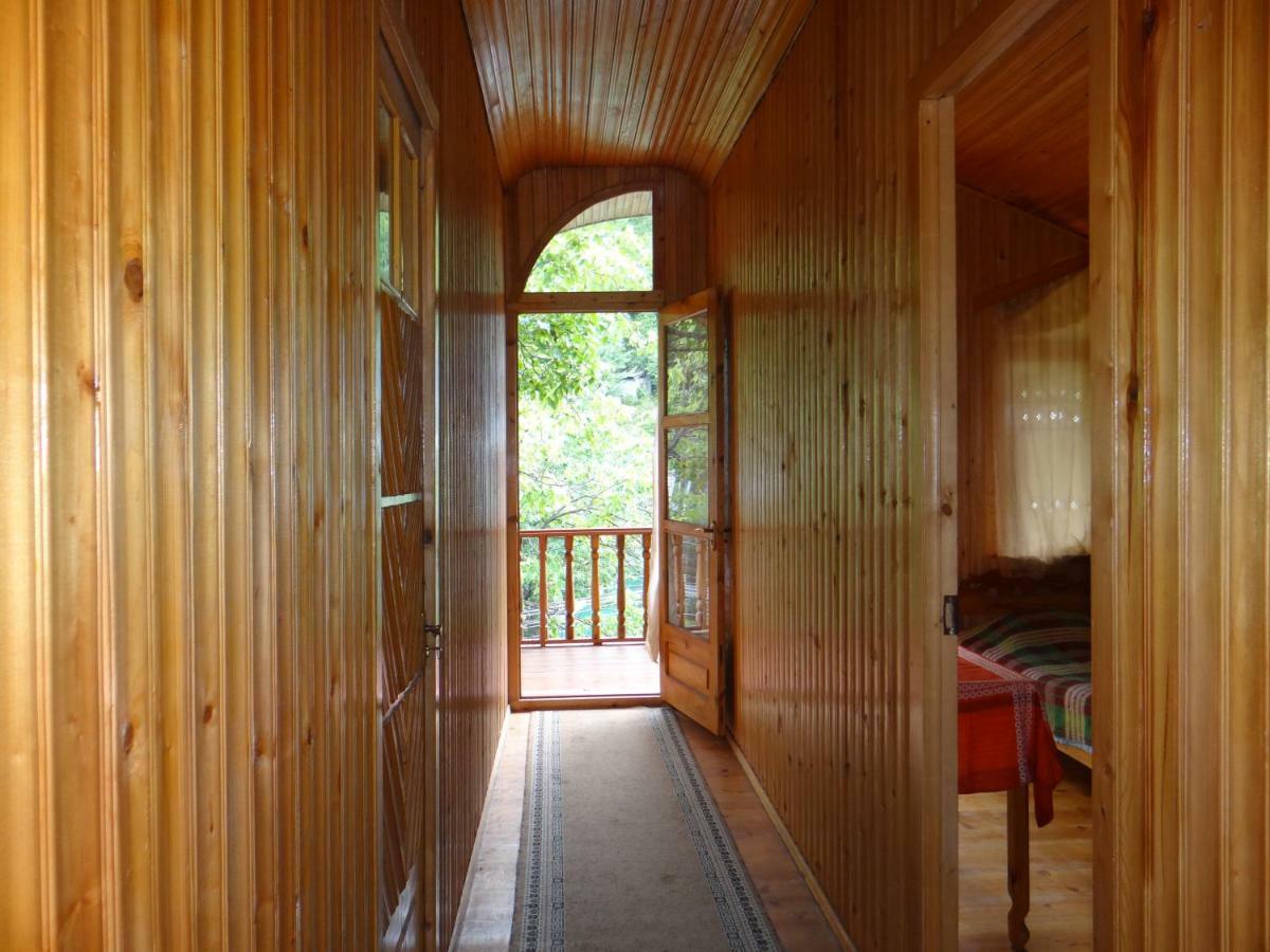 Hotel Dalko Borjomi Esterno foto