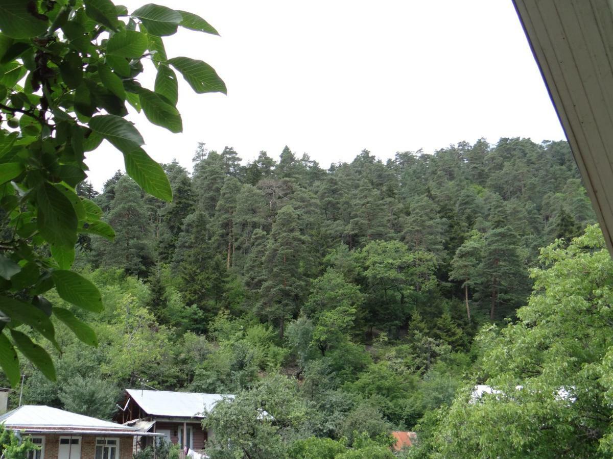 Hotel Dalko Borjomi Esterno foto