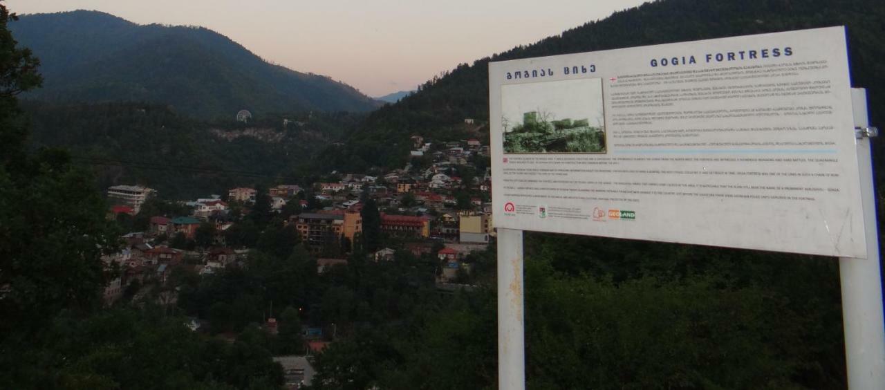 Hotel Dalko Borjomi Esterno foto
